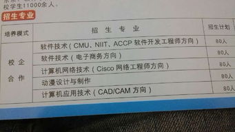 大學軟件測試方向專業選擇指南 計算機網絡、計算機應用與軟件技術深度解析